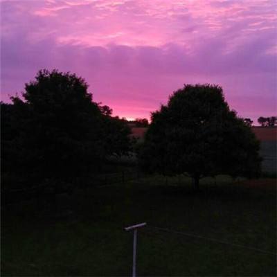 以芯铸魂，以器载道 | 见证工业...