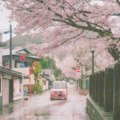 钱刚贞